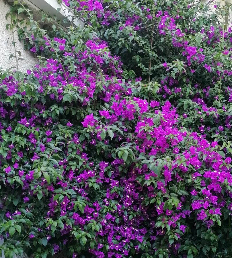 לינה וארוחת בוקר Tovo San Giacomo Casa Di Anna מראה חיצוני תמונה